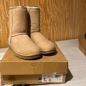 short sand uggs